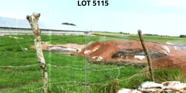 Ricelands (Rights and Interest only)